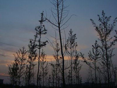 夏日夜晚的凉风习习中和好朋友坐在操场吹风